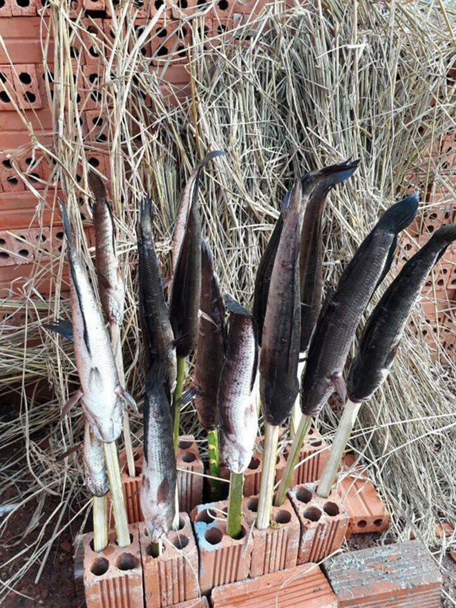 Thuê xe du lịch 16 chỗ đi KDL Lan Vương và những điều nên biết