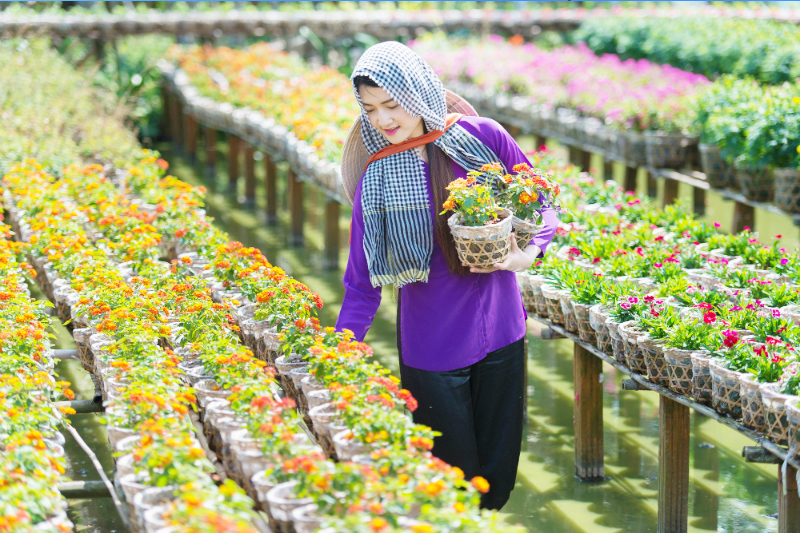 Gợi ý lịch trình du lịch miền Tây 3 ngày 2 đêm dịp lễ 2/9