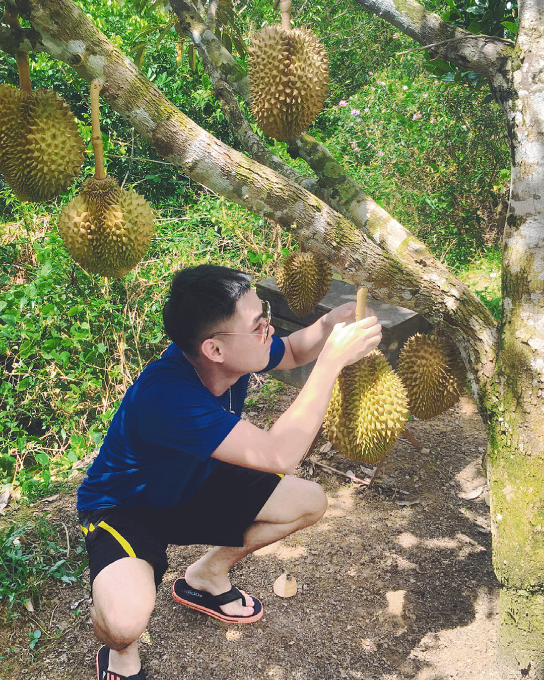 Miền Tây mùa nước nổi đi mãi chẳng hết điểm check-in