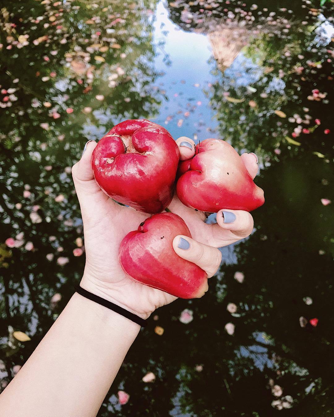 Miền Tây mùa nước nổi đi mãi chẳng hết điểm check-in