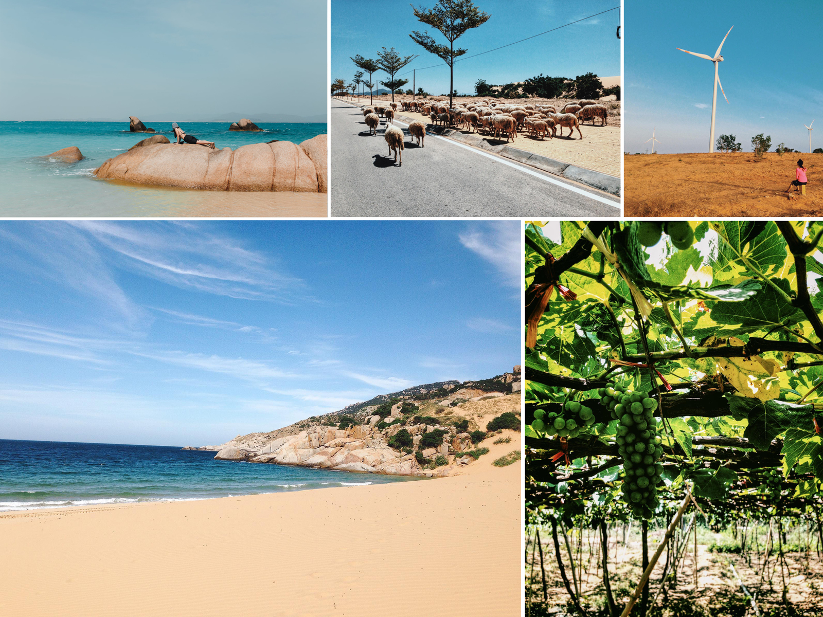 Gợi ý lịch trình du lịch Ninh Thuận 2 ngày dịp lễ 2/9