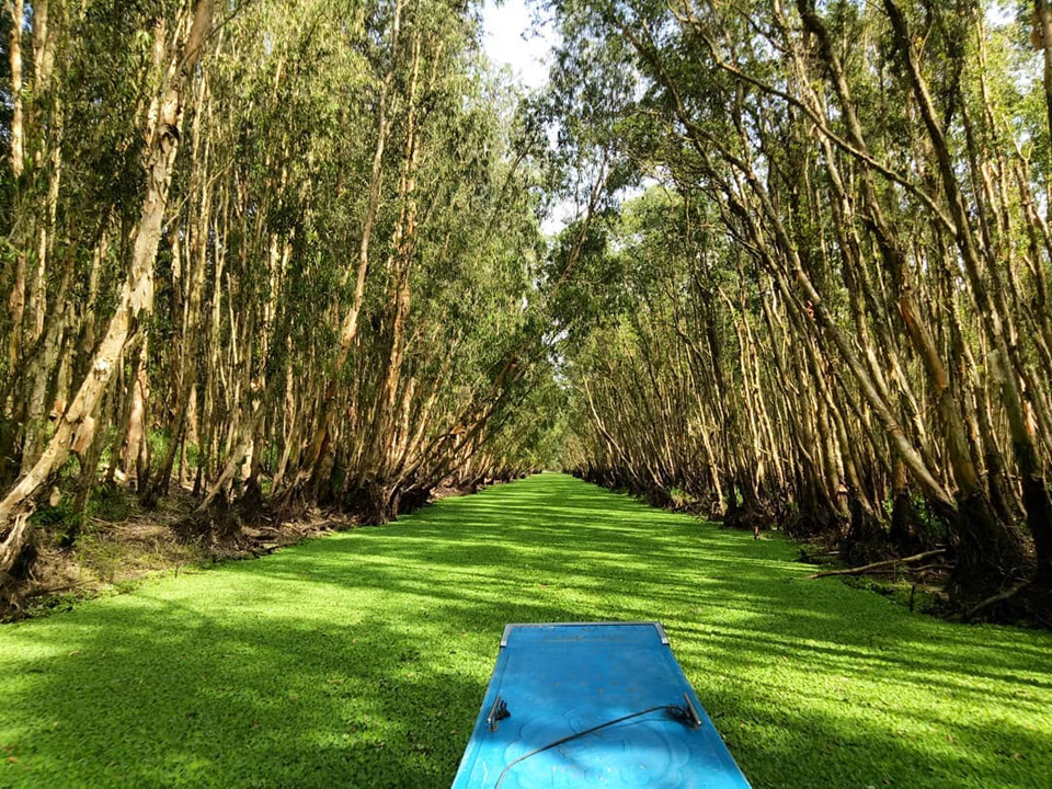 Miền Tây mùa nước nổi đi mãi chẳng hết điểm check-in