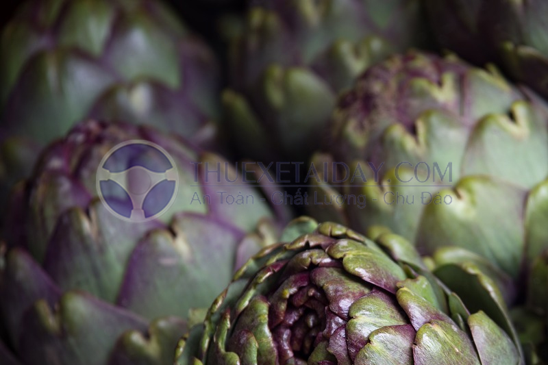 Atiso Đà Lạt– món quà quý cho sức khỏe