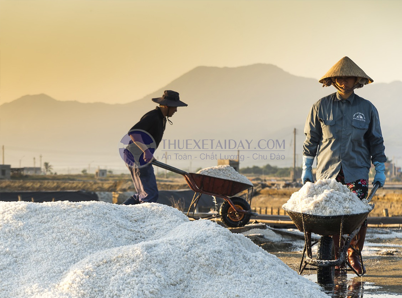 Ruộng muối Long Điền ở Long Hải