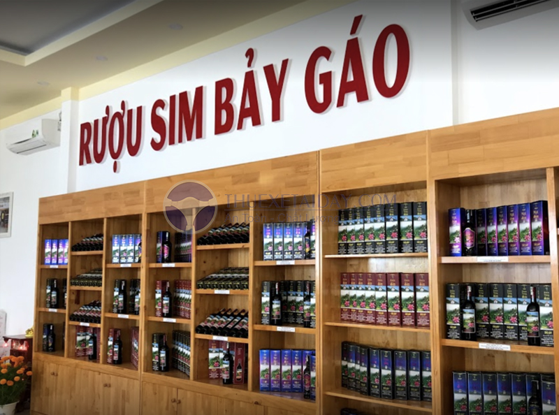 Vườn sim Bảy Gáo Phú Quốc