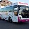 Cho thuê xe du lịch Hyundai Universe 45 chỗ đời mới
