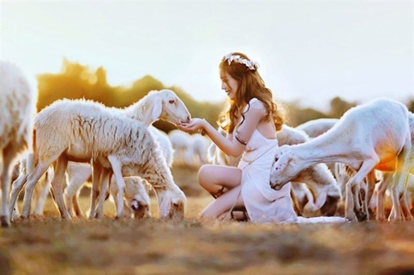 canh-dong-cuu-vung-tau