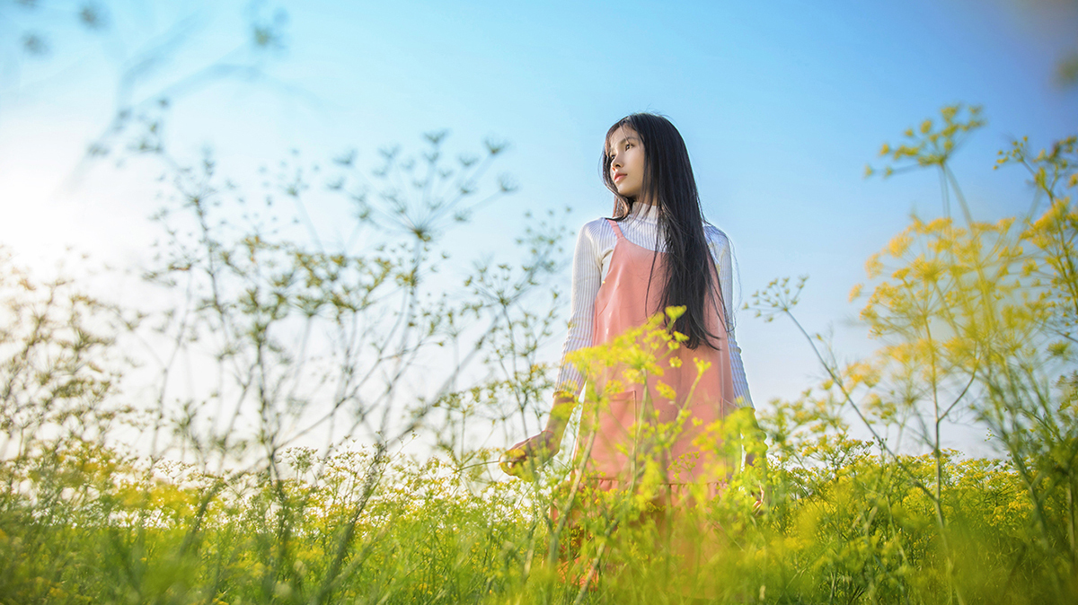 Vẻ đẹp của cánh đồng hoa thì là đang gây sốt ở Ninh Thuận