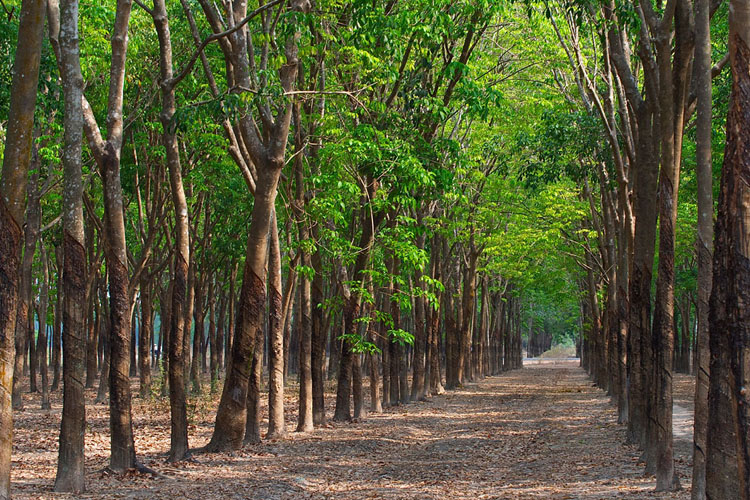 Những cung đường biển ngập nắng và gió ở Việt Nam