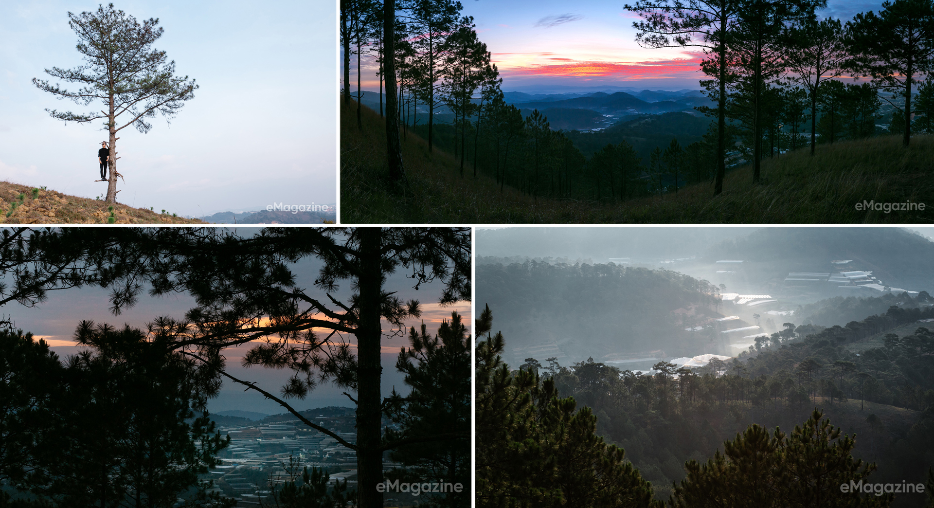 Đà Lạt – Điểm du lịch tuyệt vời cho ngày nghỉ cuối tuần