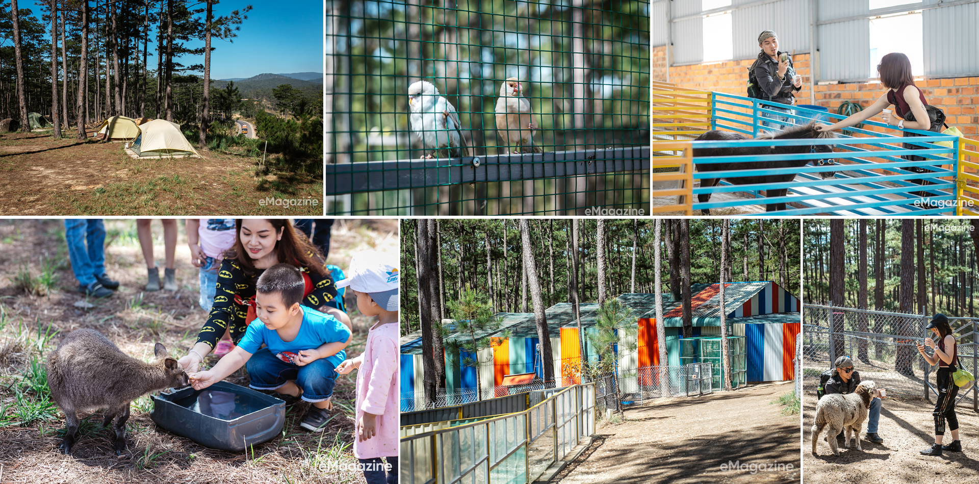 Đà Lạt – Điểm du lịch tuyệt vời cho ngày nghỉ cuối tuần