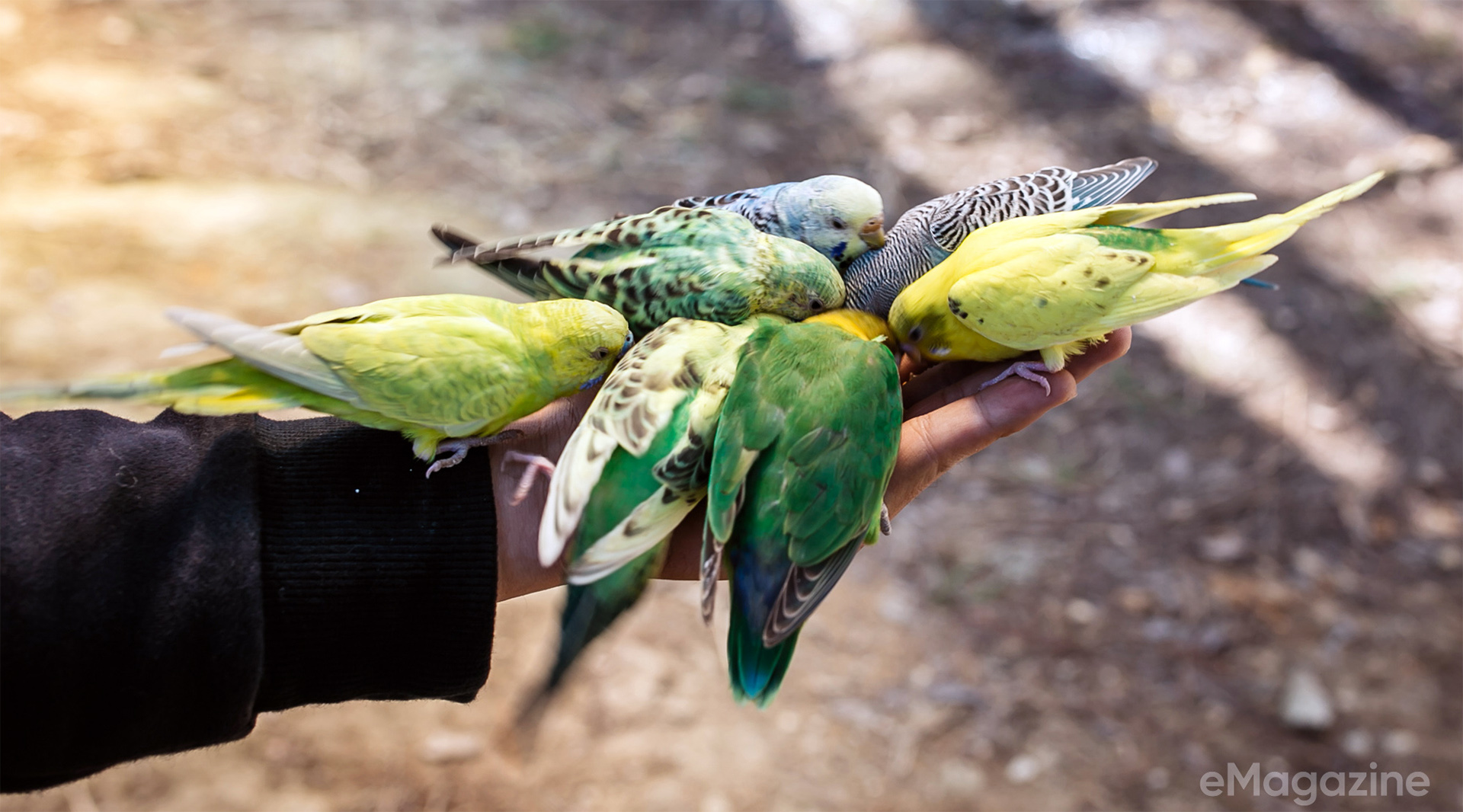 Đà Lạt – Điểm du lịch tuyệt vời cho ngày nghỉ cuối tuần