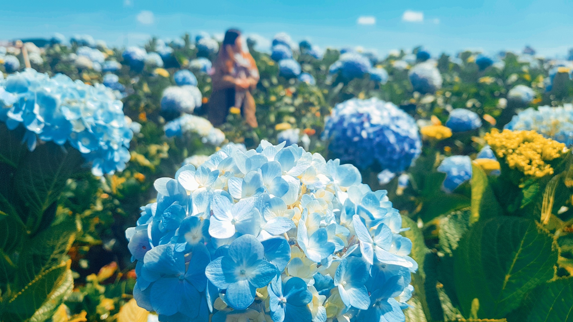 6 điểm đến lý tưởng để du lịch hè  cùng gia đình năm 2018