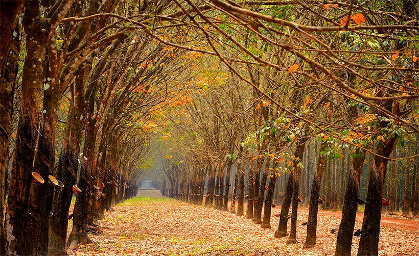 thang-12-nen-di-du-lich-o-dau