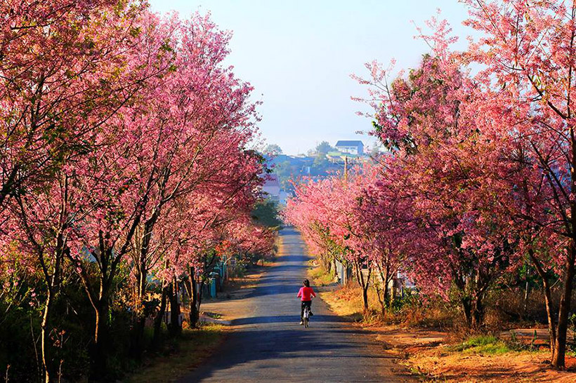 thang-12-nen-di-du-lich-o-dau