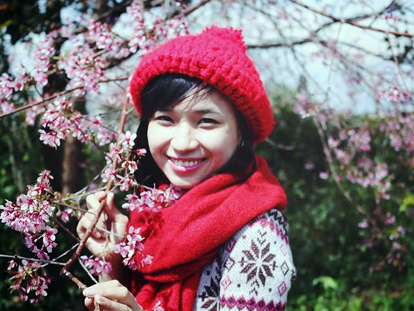 hoa-mai-anh-dao-bat-ngo-no-ruc-hong-pho-nui-da-lat