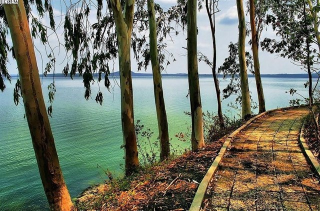 kham-pha-dao-o-dia-diem-cho-tinh-do-me-phuot-o-tphcm-4