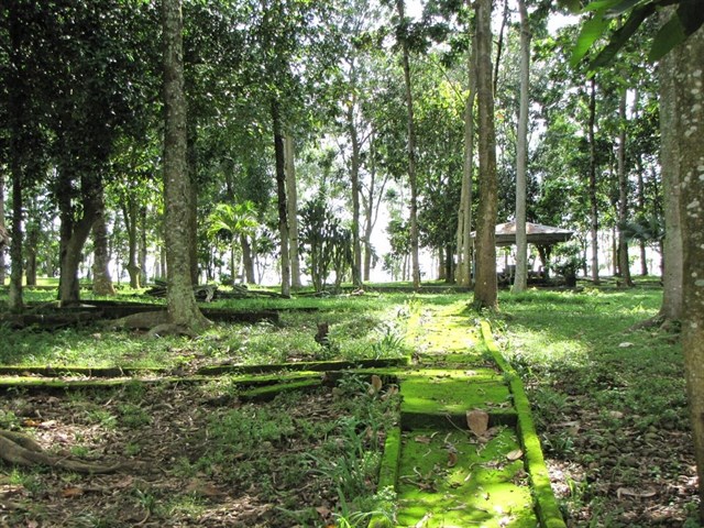 kham-pha-dao-o-dia-diem-cho-tinh-do-me-phuot-o-tphcm-5