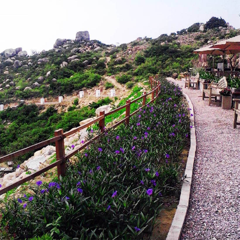 khu-da-ngoai-trung-luong-thue-xe-tai-day