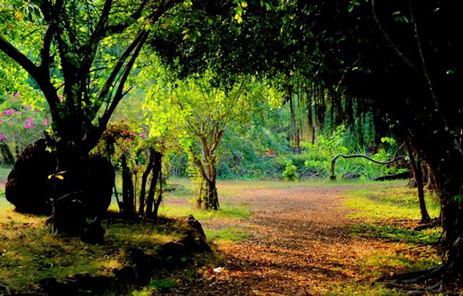 khu-du-lich-sinh-thai-cao-minh-4