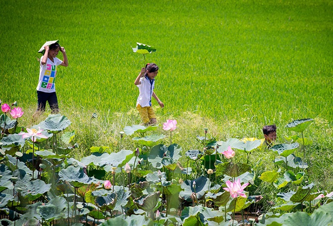 Tháng 9 nên đi du lịch ở đâu trong nước là đẹp và lý tưởng nhất?
