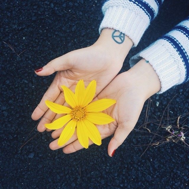 me-man-voi-nhung-cung-duong-hoa-da-quy-dep-nhat-o-da-lat