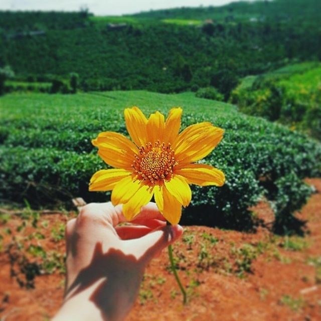 me-man-voi-nhung-cung-duong-hoa-da-quy-dep-nhat-o-da-lat