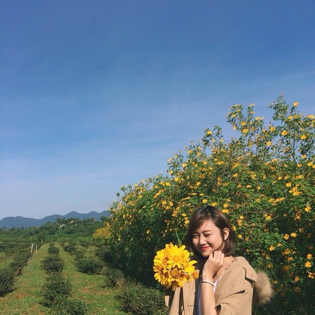 nhung-me-man-voi-nhung-cung-duong-hoa-da-quy-dep-nhat-o-da-lat