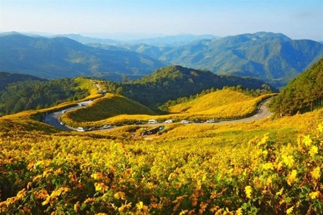 me-man-voi-nhung-cung-duong-hoa-da-quy-dep-nhat-o-da-lat