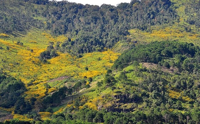 me-man-voi-nhung-cung-duong-hoa-da-quy-dep-nhat-o-da-lat