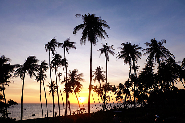 Chơi hết điểm đẹp, ăn đủ món ngon ở Phan Thiết