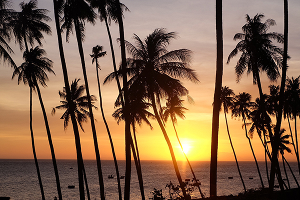 Chơi hết điểm đẹp, ăn đủ món ngon ở Phan Thiết