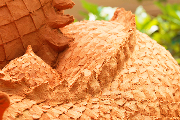 Chơi hết điểm đẹp, ăn đủ món ngon ở Phan Thiết