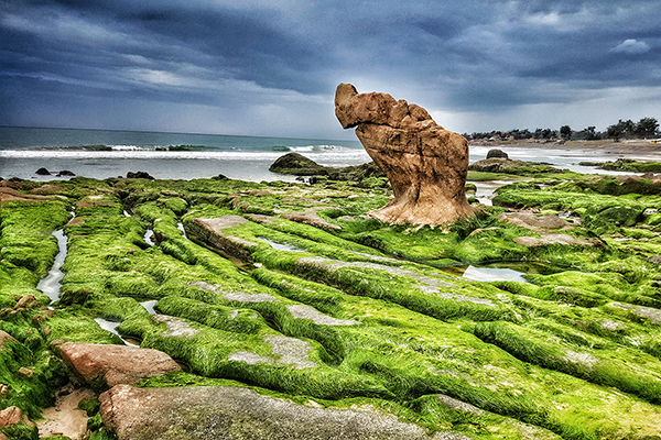 Chơi hết điểm đẹp, ăn đủ món ngon ở Phan Thiết