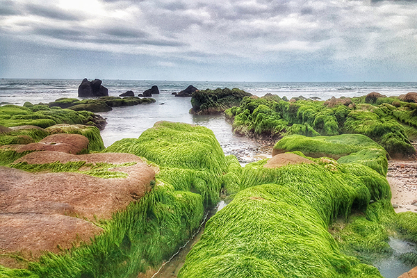 Chơi hết điểm đẹp, ăn đủ món ngon ở Phan Thiết