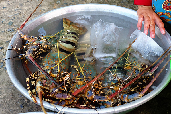 Chơi hết điểm đẹp, ăn đủ món ngon ở Phan Thiết