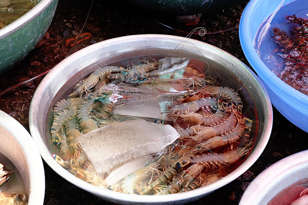 Chơi hết điểm đẹp, ăn đủ món ngon ở Phan Thiết