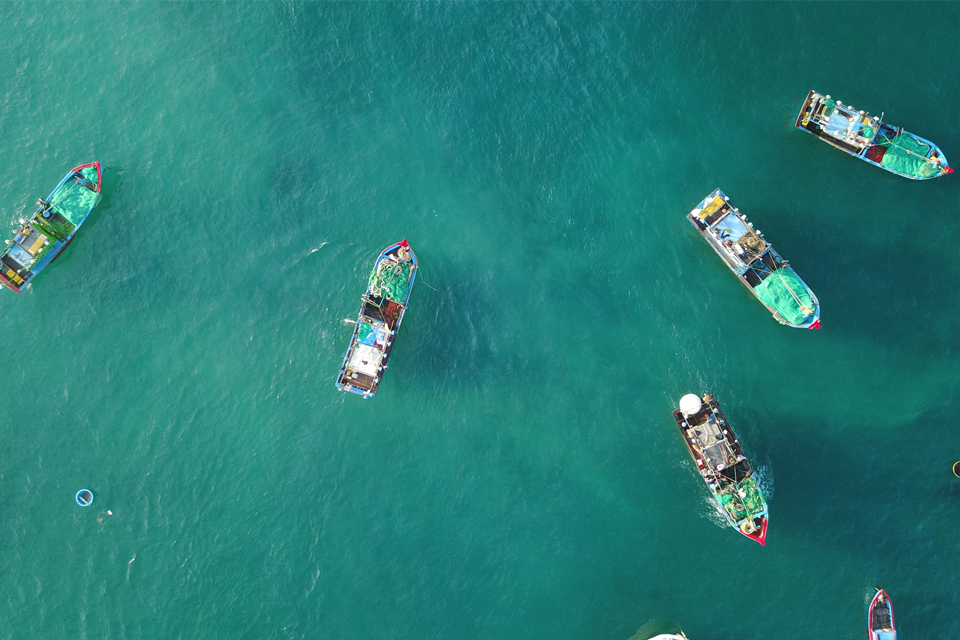 Tư vấn lịch trình du lịch Quy Nhơn 4 ngày 3 đêm tự túc