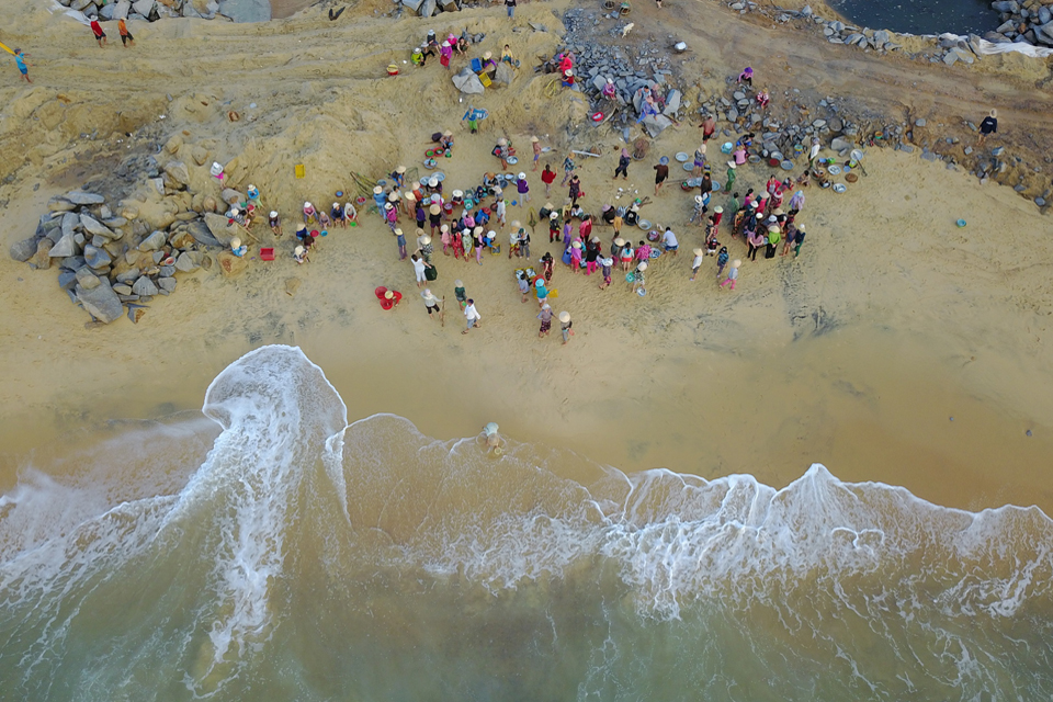Tư vấn lịch trình du lịch Quy Nhơn 4 ngày 3 đêm tự túc