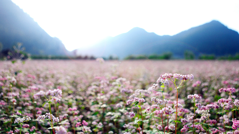 thang-11-di-du-lich-o-dau