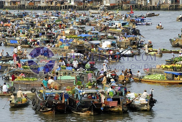 Chợ nổi Trà Ôn