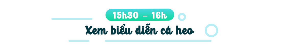 24h vui chơi hết mình tại khu giải trí lớn nhất Nha Trang