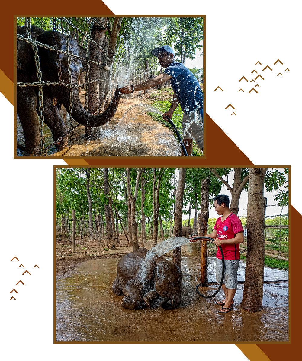 Theo chân voi buôn Đôn, tìm về miền đất đỏ hoang dã