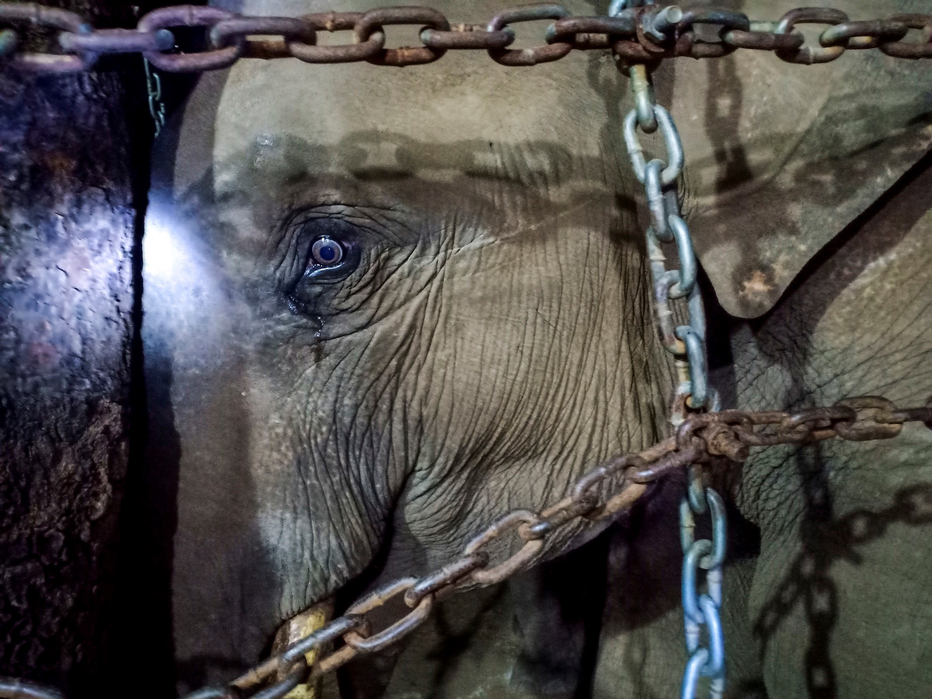 Theo chân voi buôn Đôn, tìm về miền đất đỏ hoang dã