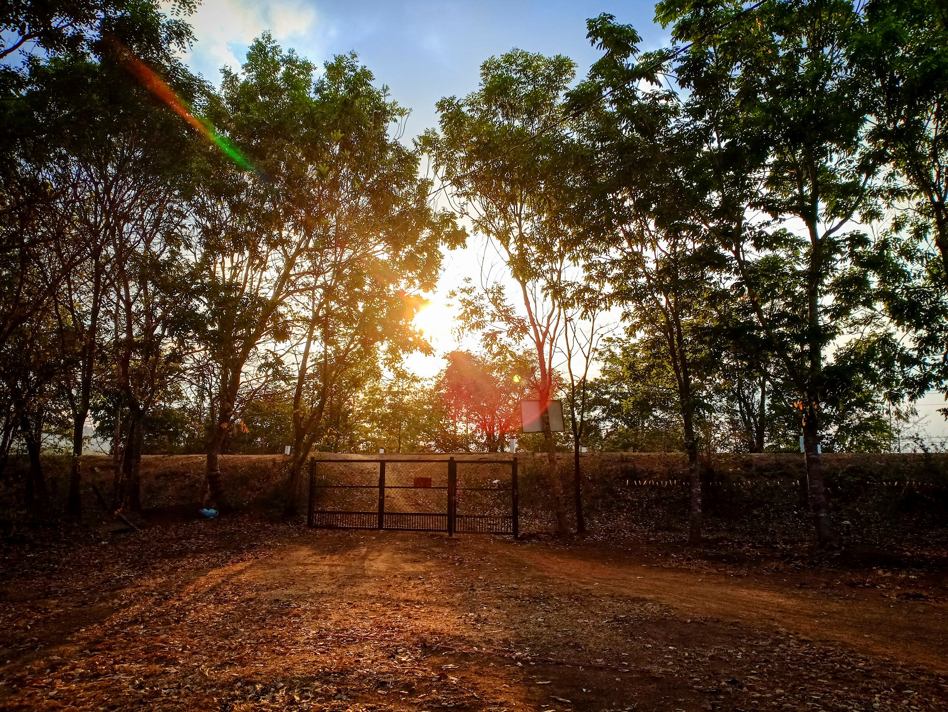 Theo chân voi buôn Đôn, tìm về miền đất đỏ hoang dã