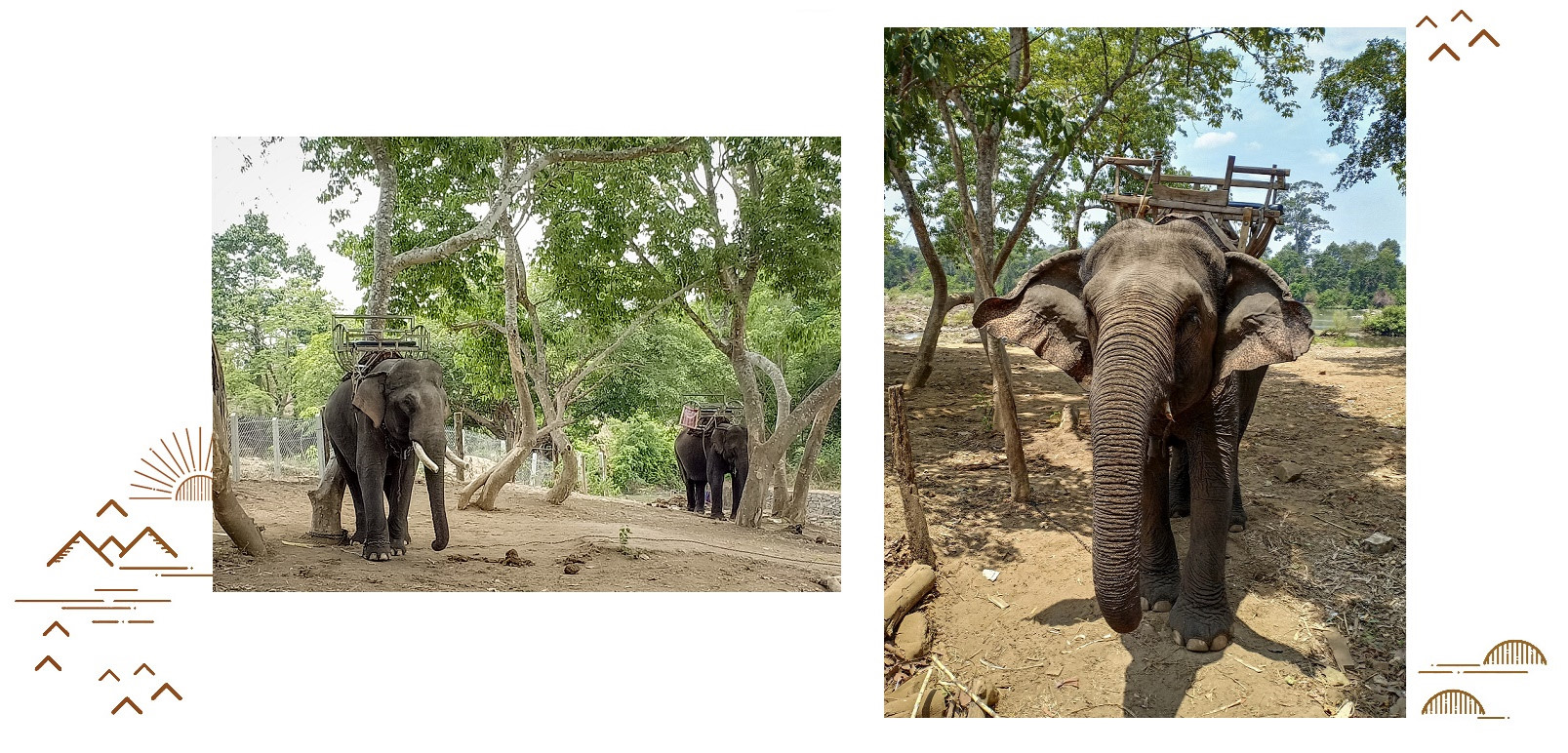 Theo chân voi buôn Đôn, tìm về miền đất đỏ hoang dã